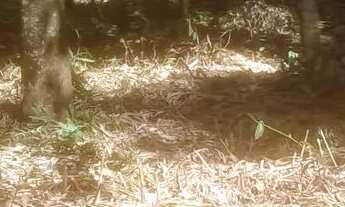 Imagem 5: Terreno com lagoa em serra azul