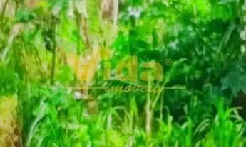 Imagem: Terreno à venda, Chácara Santa Cecília