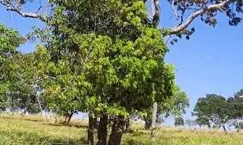 Imagem: Chácaras entrada 5 mil Aragoiânia a 20
