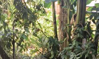 Imagem 7: Casa ampla no bairro Belmonte, Belo Horizonte MG