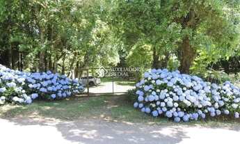 Imagem: Propriedade Rural no bairro São Virgílio