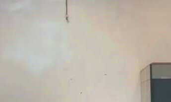 Imagem: GALPÃO COMERCIAL em LAURO DE FREITAS