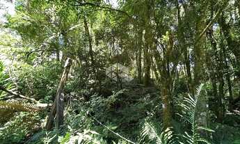 Imagem 2: Terreno a venda Vila Suzana em Canela