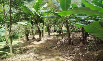 Imagem 4: Terreno à venda 2 vagas Recreio da Borda do Campo - Santo André - SP