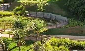 Imagem 6: Tereno plano com 1350 m2