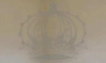 Imagem 3: Apartamento de frente com 3 quartos em Madureira!