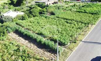 Imagem 2: Amplo terreno à venda em Picada Café na Serra Gaúcha