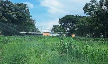 Imagem 3: Fazendacde arrendamento 1.200 hec plantando em pontes de Lacerda MT