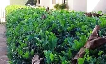 Imagem 5: Casa 3 quartos em condomínio fechado jardim planalto Casa em Condomínio com 3 Quarto(s) e