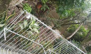 Imagem 3: Grades Aranha Casa com 3 dormitórios