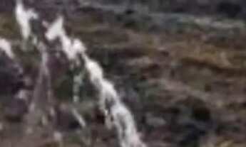 Imagem 3: WF negócios imobiliários