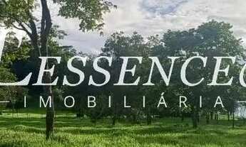 Imagem 2: Chácara com 2 Alqueires | Avelinópolis | Curral