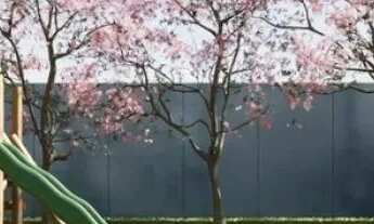 Imagem 7: APARTAMENTO - BUTANTÃ - SP