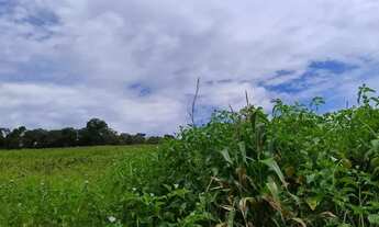 Imagem 7: Terreno em Ibiúna Sossego, Natureza e Segurança - SP