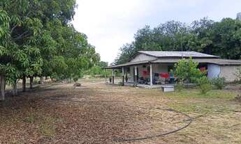 Imagem 2: Vendo ou troco Chácara com venda por R$420.000