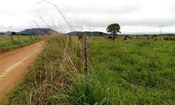 Imagem 2: Chácara de 5 Alqueires Apenas 140.000,00, Próximo a Goianésia