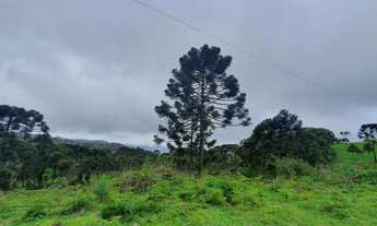 Imagem 3: Sítio no Morro da igreja/chácara em Urubici