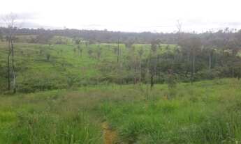 Imagem 2: Terra de 46 alqueiros na vicinal 3 barracas 30 de pastagem cercada, etc