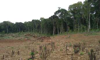 Imagem 3: Chácara em Guarapuava