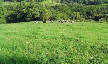 Imagem 2: Sítio para Venda