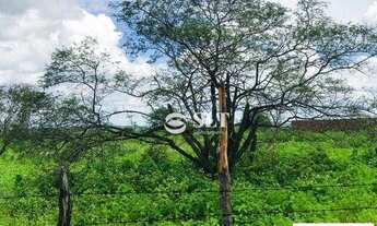 Imagem 2: Terreno a Venda na Zona Expansão Urbana, em Sítio Linda Flor