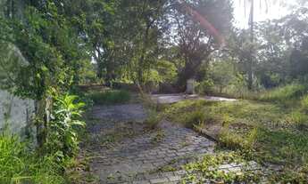 Imagem 7: CARAPICUíBA - Terreno Padrão - Granja Viana