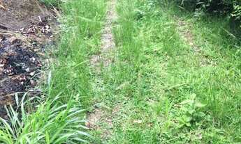 Imagem 6: Hostel eco senior aconchego / eventos