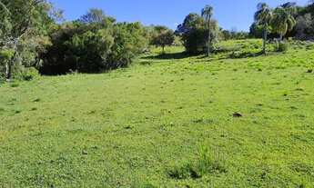 Imagem 4: R- 558 Vendo Belíssima Chácara de 26.0 Hectares no sétimo distrito de Pelotas