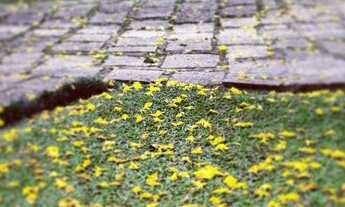 Imagem 7: Linda Casa ! Casa com 5 dormitórios