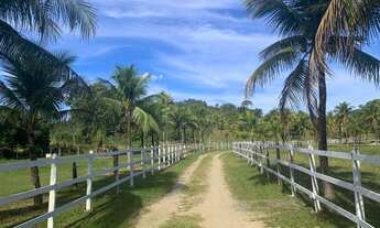 Imagem 3: PAPUCAIA BELA FAZENDINHA COM 3,8 ALQUEIRES