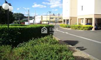 Imagem 3: Apartamento - Jardim Novo Campos Elíseos - Campinas