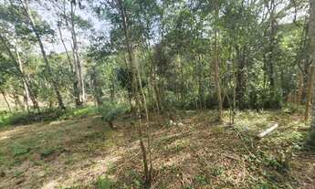 Imagem 6: 3997 metros quadrados apenas 147 mil reais