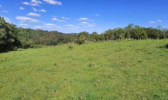 Imagem 7: R- 558 Vendo Belíssima Chácara de 26.0 Hectares no sétimo distrito de Pelotas