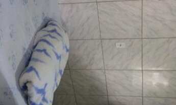 Imagem 3: Alugo Kitnet / quitnet / AP toda mobiliada! Próximo do IFSC