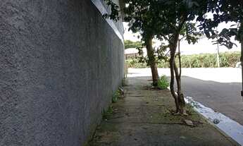 Imagem 8: Galpão, Parque Novo Mundo - São Paulo