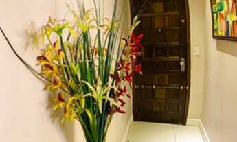 Imagem 6: Oportunidade n Barra