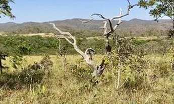Imagem 3: Alto Paraíso de Goiás - GO - Chácara 5.88he