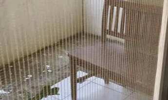 Imagem: Aluguel de apartamento