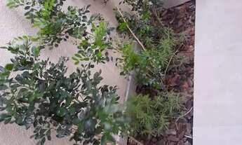 Imagem: Casa jd Regina