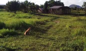 Imagem 4: Chácara de 2 linhas a venda no cedere 1 dentro da vila