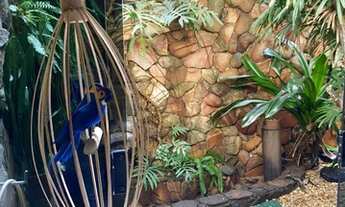 Imagem 7: Casa para aluguel no Setor Sol Nascente - Goiânia - GO