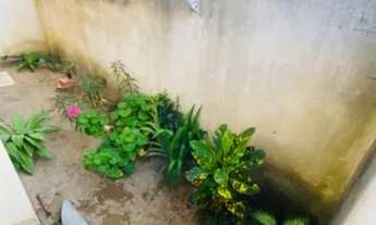 Imagem 4: Vendo casa em Grussai do outro lado da lagoa