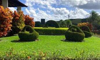 Imagem: Jazigo jardim da saudade