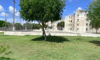 Imagem 3: Bosque das Palmeiras