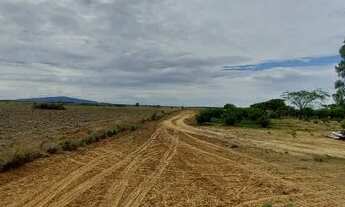 Imagem 3: Área de lavrado 103 hectares 53 kl da cidade titulada sem dívidas