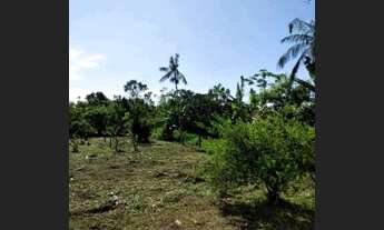 Imagem 2: Alugo quarto para casal