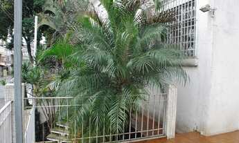 Imagem 3: Casa para aluguel com 200 metros quadrados com 3 quartos em Penha de França - São Paulo