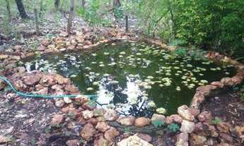 Imagem 7: Pertinho de Lagoa Santa, linda chácara de 20 mil m²,Jaboticatubas (Temos varias opções)