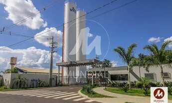 Imagem: Apartamento (tipo - padrao) 2 dormitórios