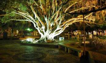 Imagem 2: Alugo kit Net mobilhada